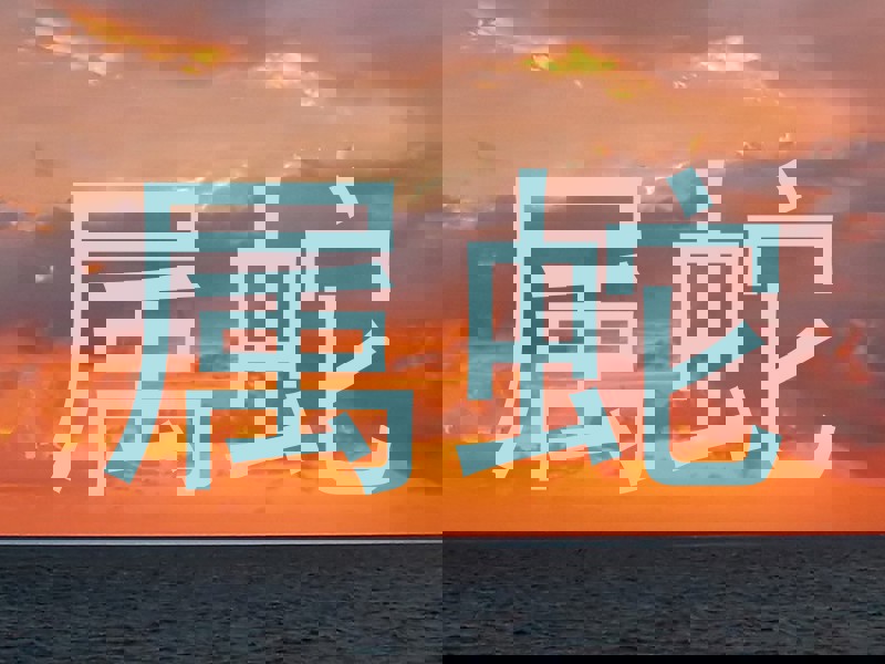 属蛇