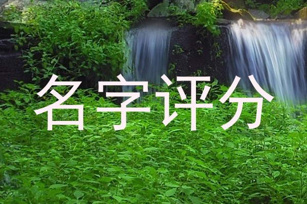 名字评分