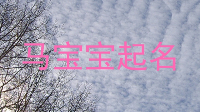 属马