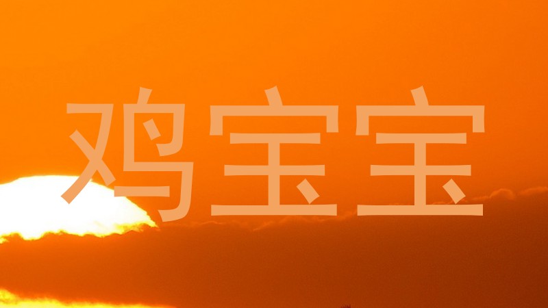 鸡宝宝