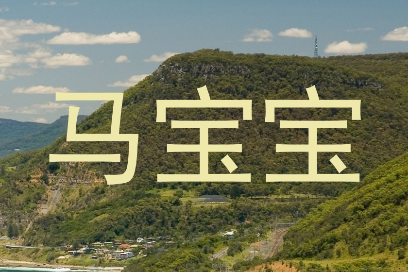 马宝宝