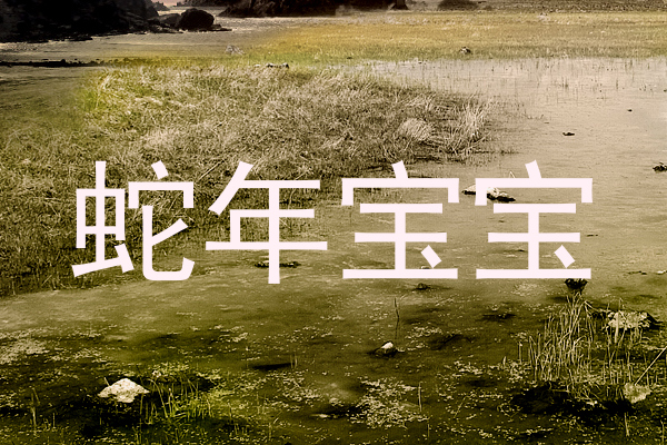 蛇年宝宝