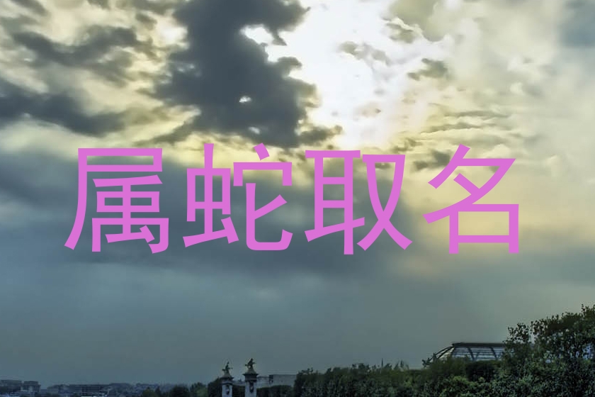 属蛇取名