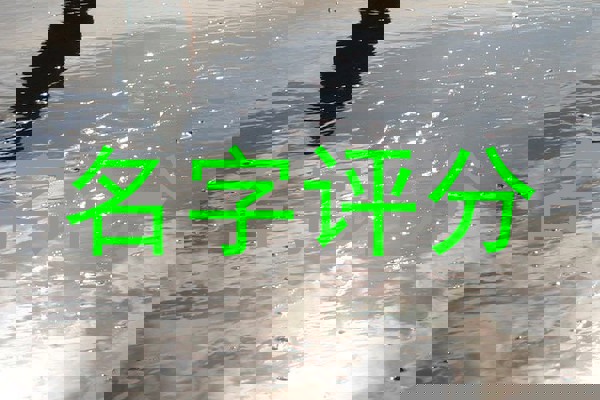 曹姓