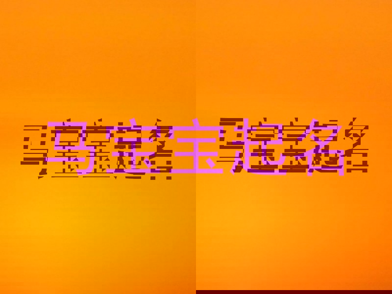 马年宝宝