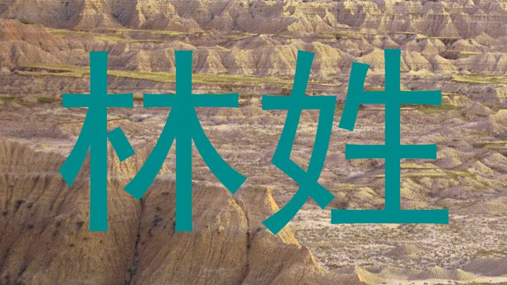林姓
