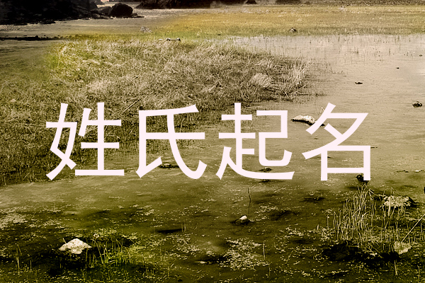 姓氏起名