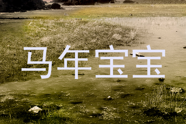 马年宝宝