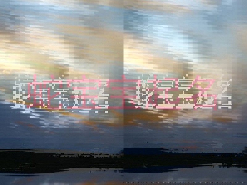 蛇宝宝起名