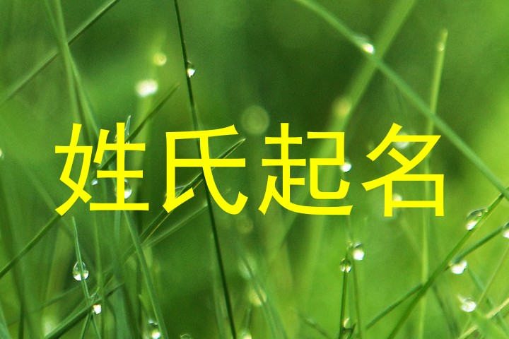 姓氏起名