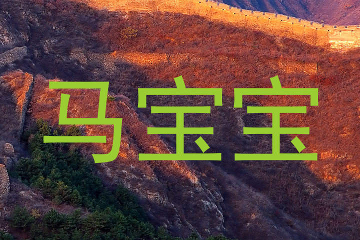 马宝宝