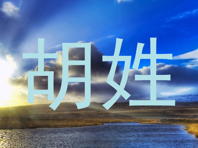 胡姓