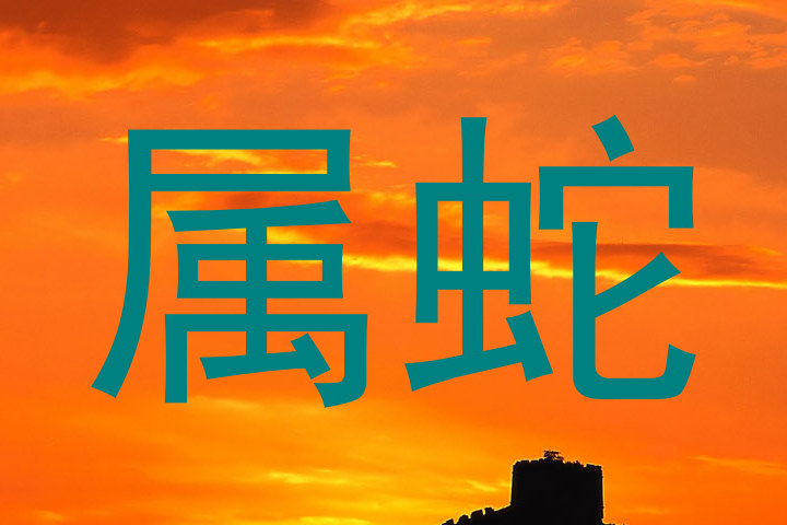 属蛇