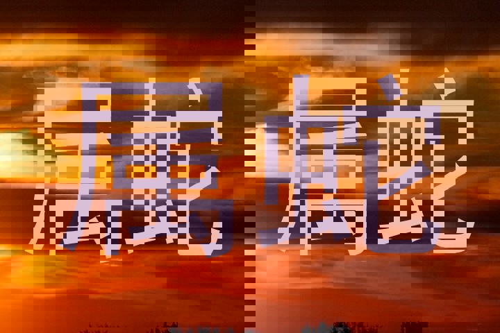 属蛇