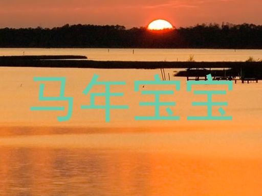 马年宝宝