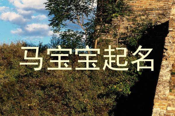 马宝宝起名