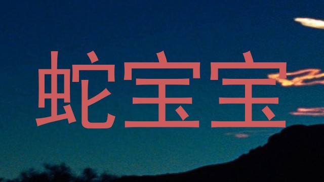蛇宝宝