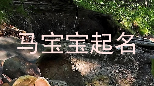 马宝宝起名