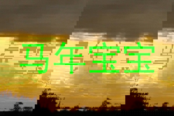 马年宝宝