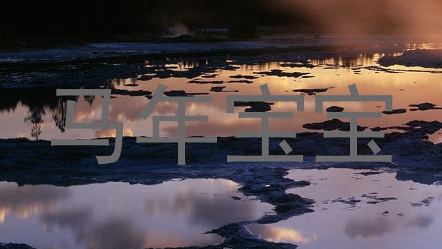 马年宝宝
