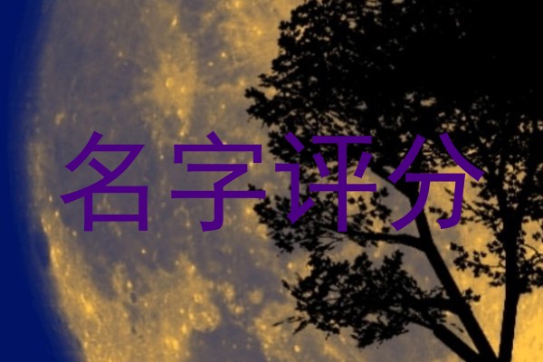 名字评分