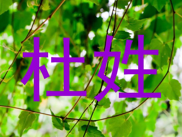杜姓