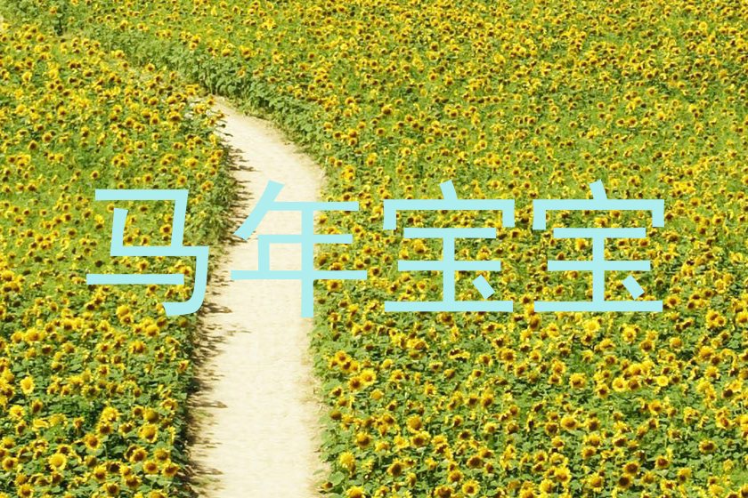 马年宝宝