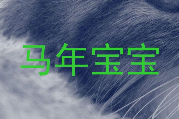 马年宝宝