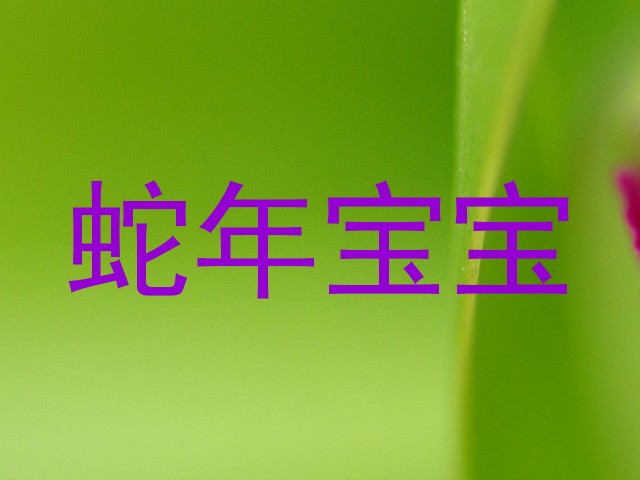 蛇年宝宝