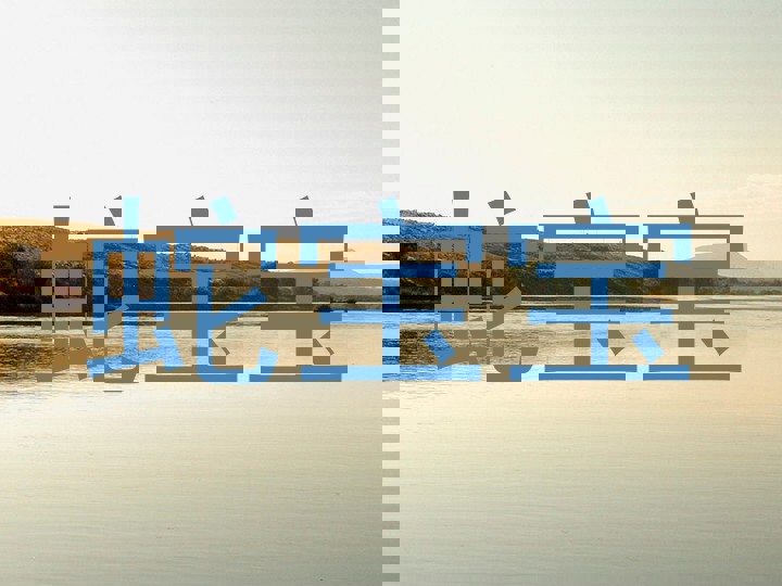 蛇宝宝