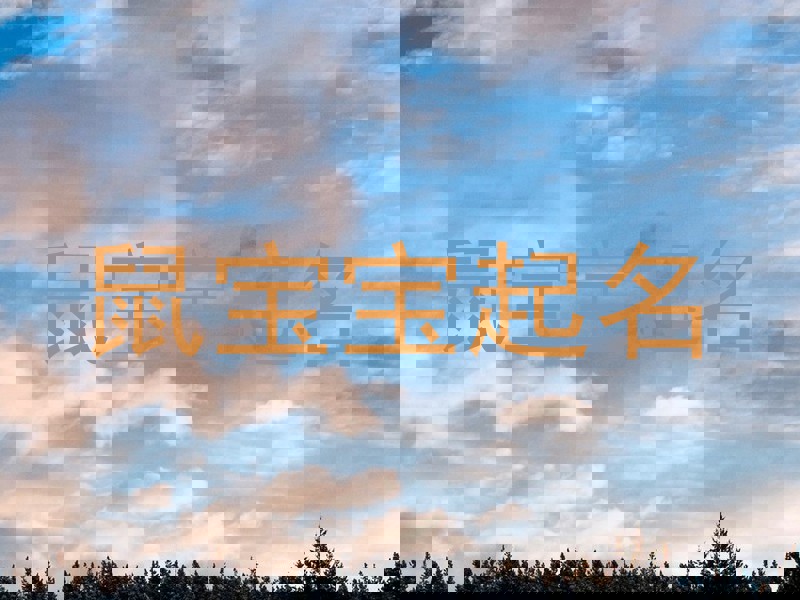 鼠宝宝起名
