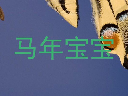 马年宝宝