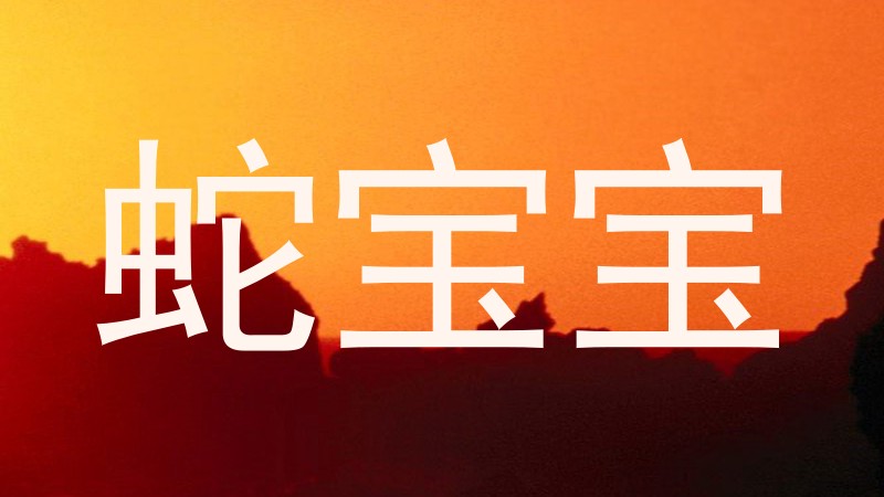 蛇宝宝
