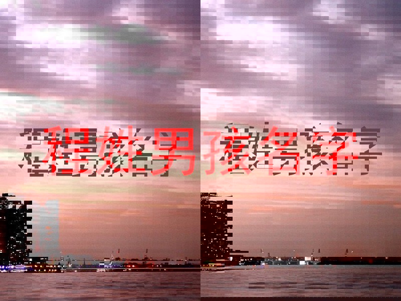 程姓男孩名字