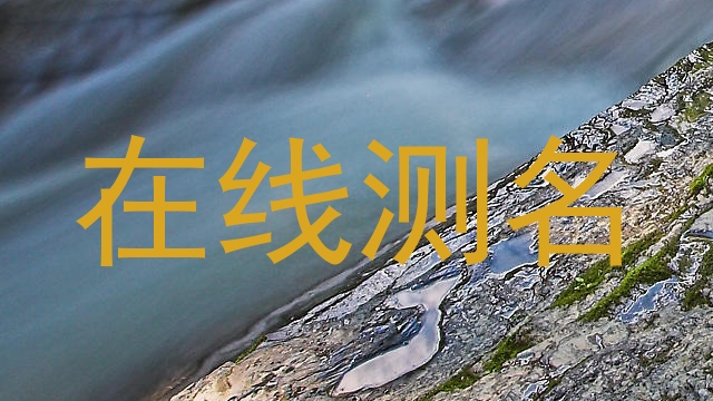 在线测名