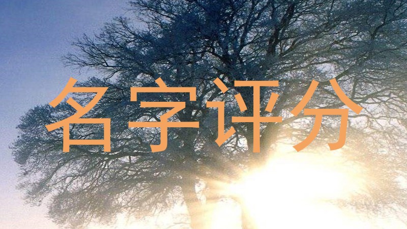 在线测名