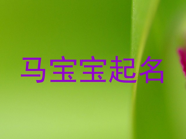 马宝宝起名