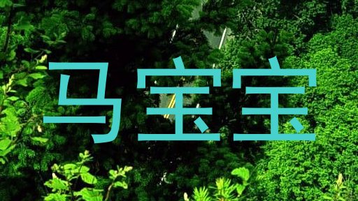 马宝宝