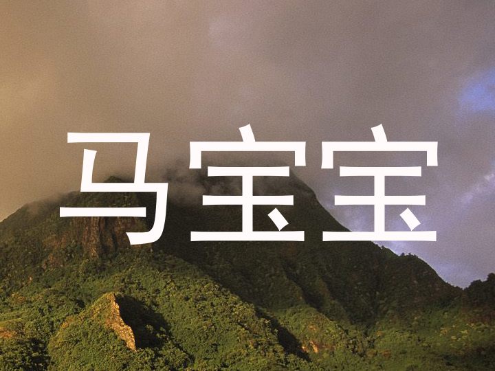 马宝宝