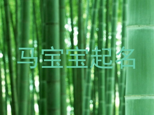 马宝宝起名