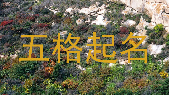 五格起名