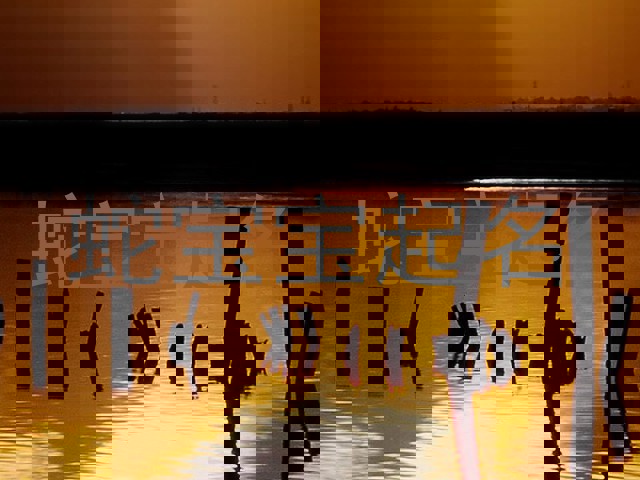 属蛇