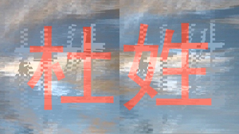杜姓