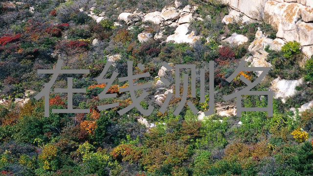在线测名