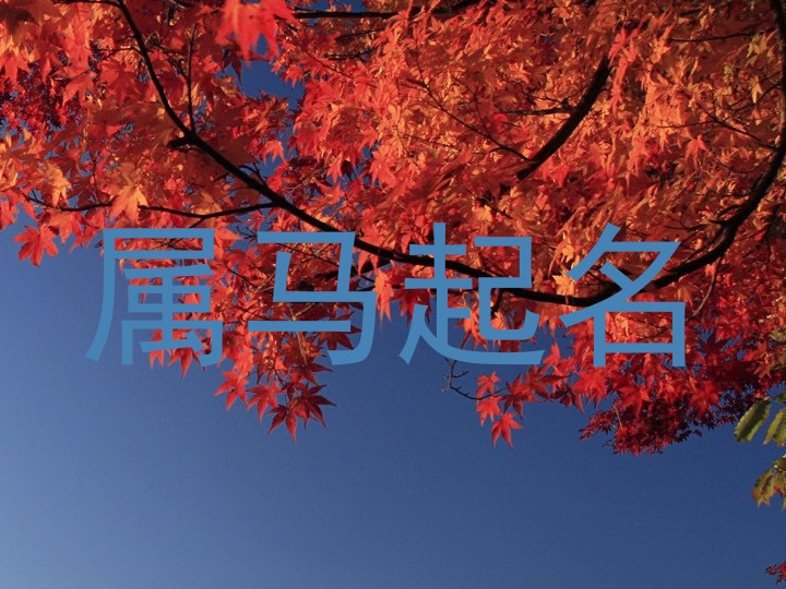 属马起名