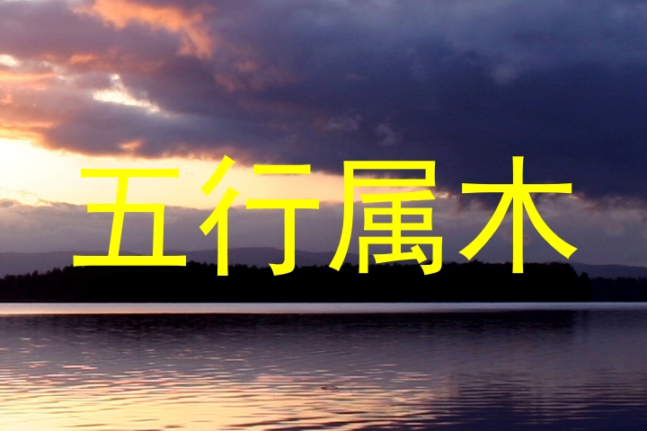五行属木