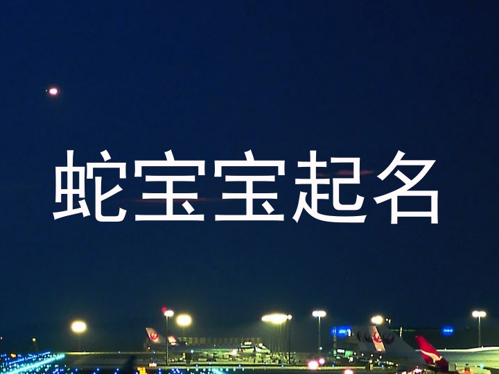 蛇年