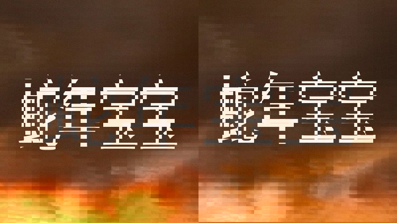 蛇年宝宝