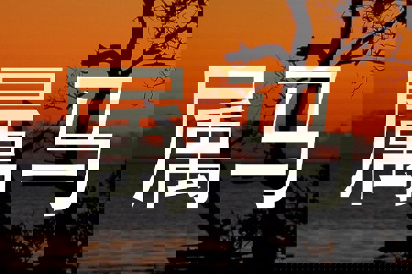 属马