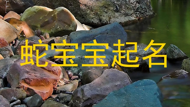 蛇年